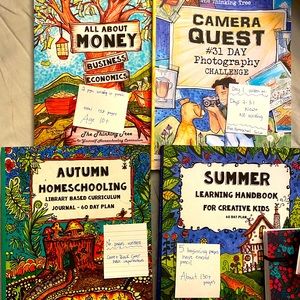 The thinking tree homeschooling set independent system to keep children engaged